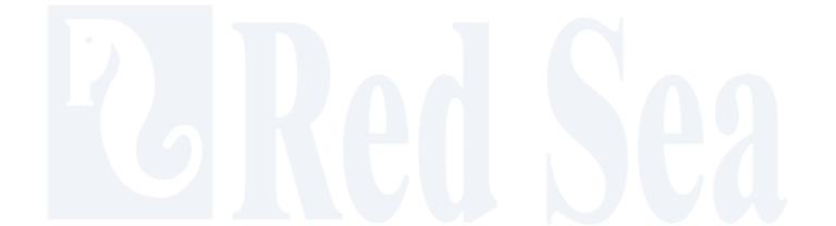 Untitled design (7)